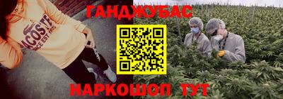 стаф Камышлов