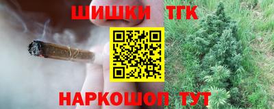 стаф Камышлов